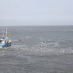 Landkreis Friesland tritt „Zukunftspakt Küstenfischerei 2050“ bei