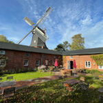 Herbstprogramm der Seefelder Mühle mit Workshops und Mitmach-Angeboten