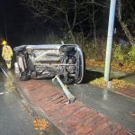 Tierausweichmanöver endet am Ampelmast