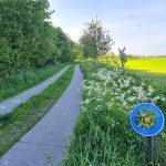 „Blühendes Friesland“ zeigt Wirkung: Insektenfreundliche Pflege im Landkreis