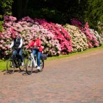 Neuer Rekord beim STADTRADELN im Ammerland: Über 550.000 Kilometer für den Klimaschutz erradelt