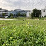 Neue Freizeitfläche an der 91er-Straße in Oldenburg wird eröffnet