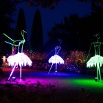 Fulminante Lichtkunst an Sommerabenden genießen