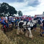 Zeitreise ins Kornfeld: Aperberg lädt zum 36. historischen Kornmähen ein