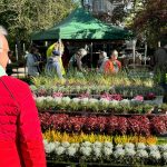 Einzigartige Marktatmosphäre lockt in den Park der Gärten